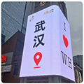 武汉sm圈